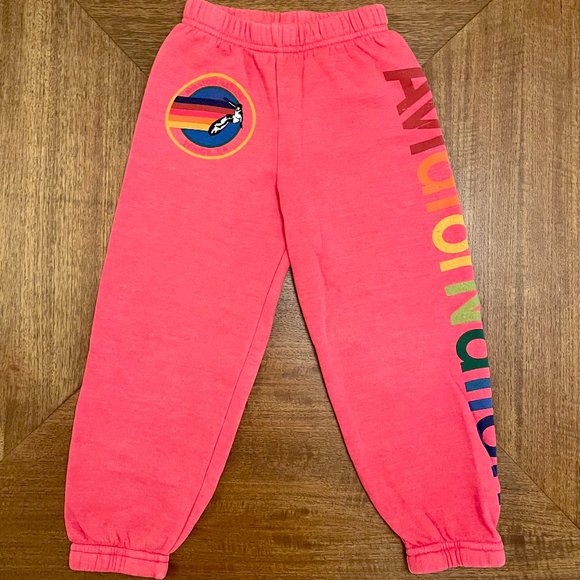 Aviator Nation Other - Aviatior Nation Kids Sweatpants Red 6